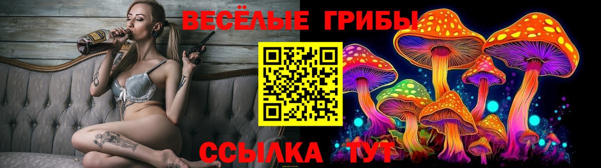Галлюциногенные грибы Psilocybine cubensis Дятьково