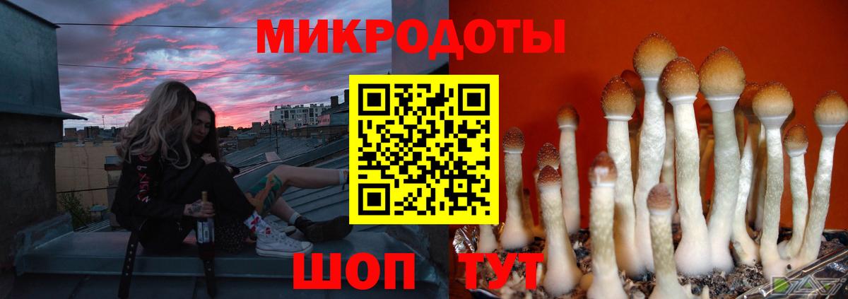 Псилоцибиновые грибы Magic Shrooms  Вход с VPN  Псилоцибиновые грибы GOLDEN TEACHER  Дятьково 